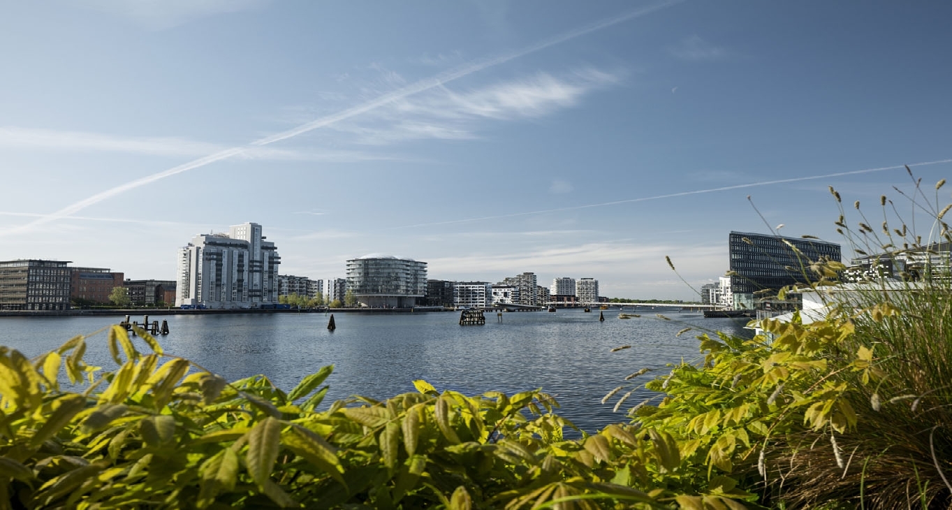 Rent office Kalvebod Brygge 39 - 41 — photo 4