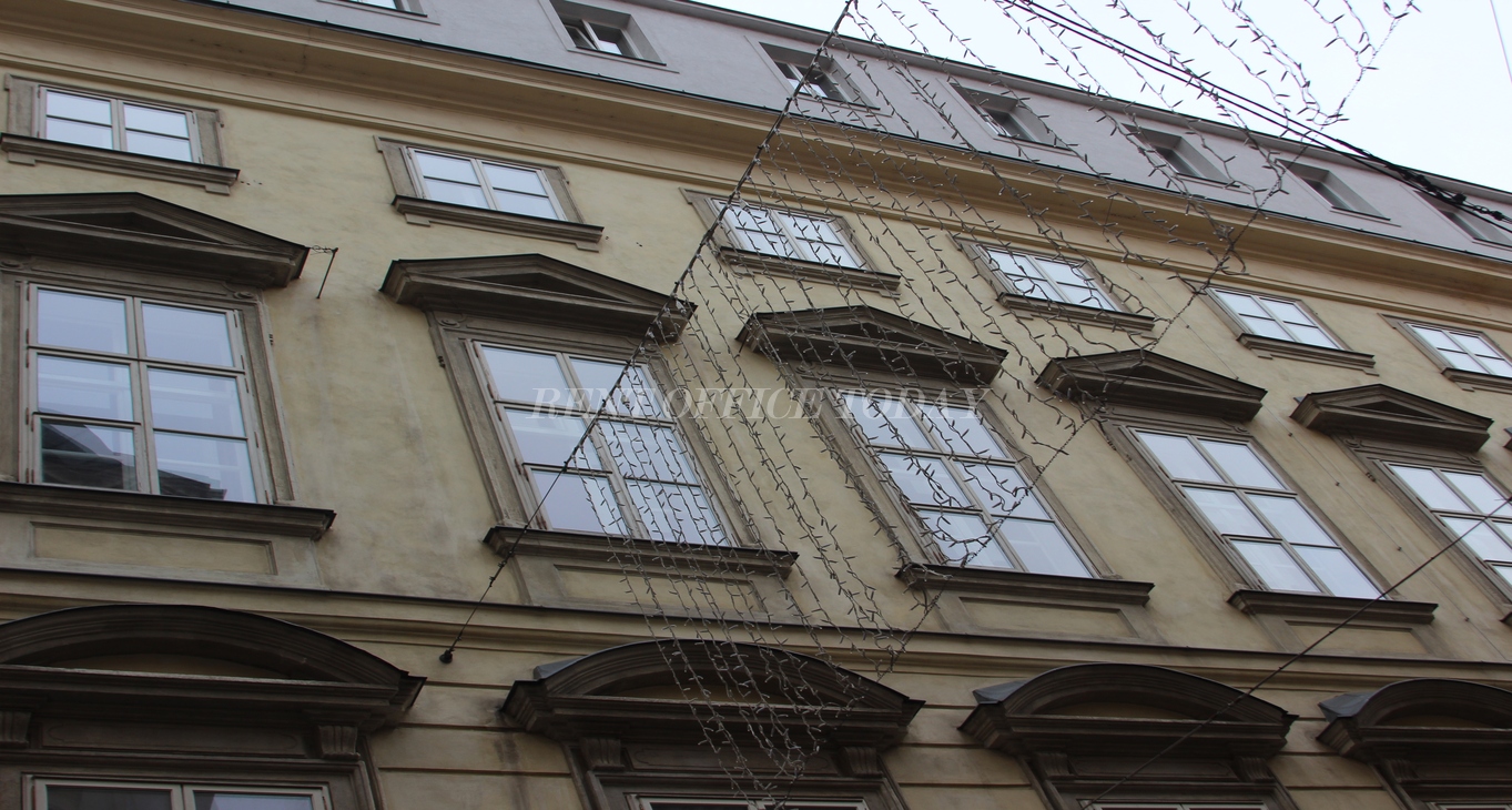 Rent office Palais Kaiserhaus — photo 10