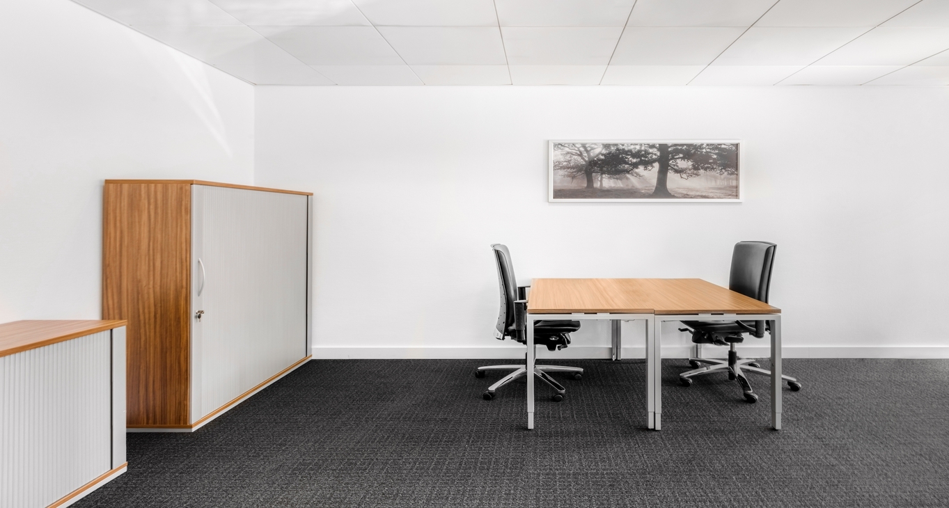 Alquiler oficinas Seefeldstrasse 69_5-5