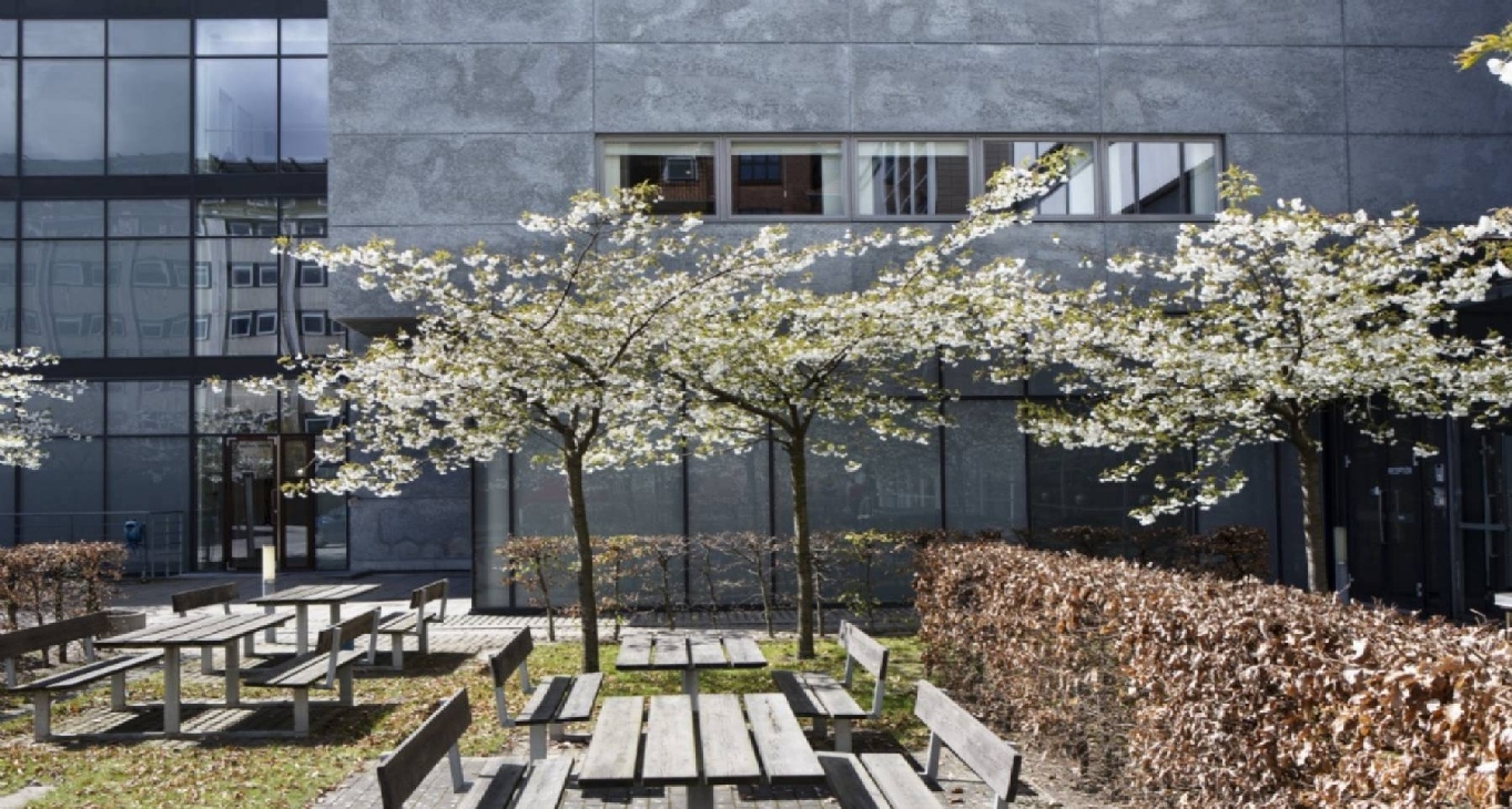Rent office Sturlasgade 3 — photo 10