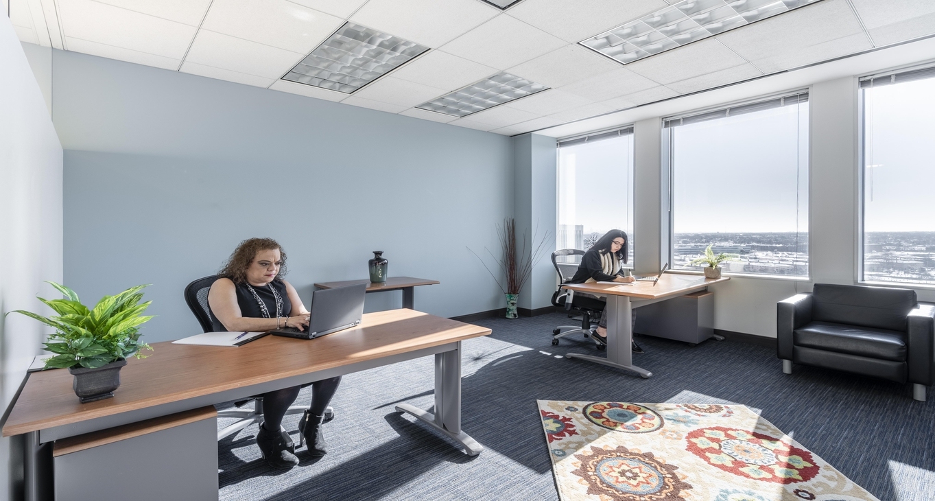 Triangle Plaza, 8770 West Bryn Mawr Avenue, Chicago, IL 60631 — office space for rent, photo 5