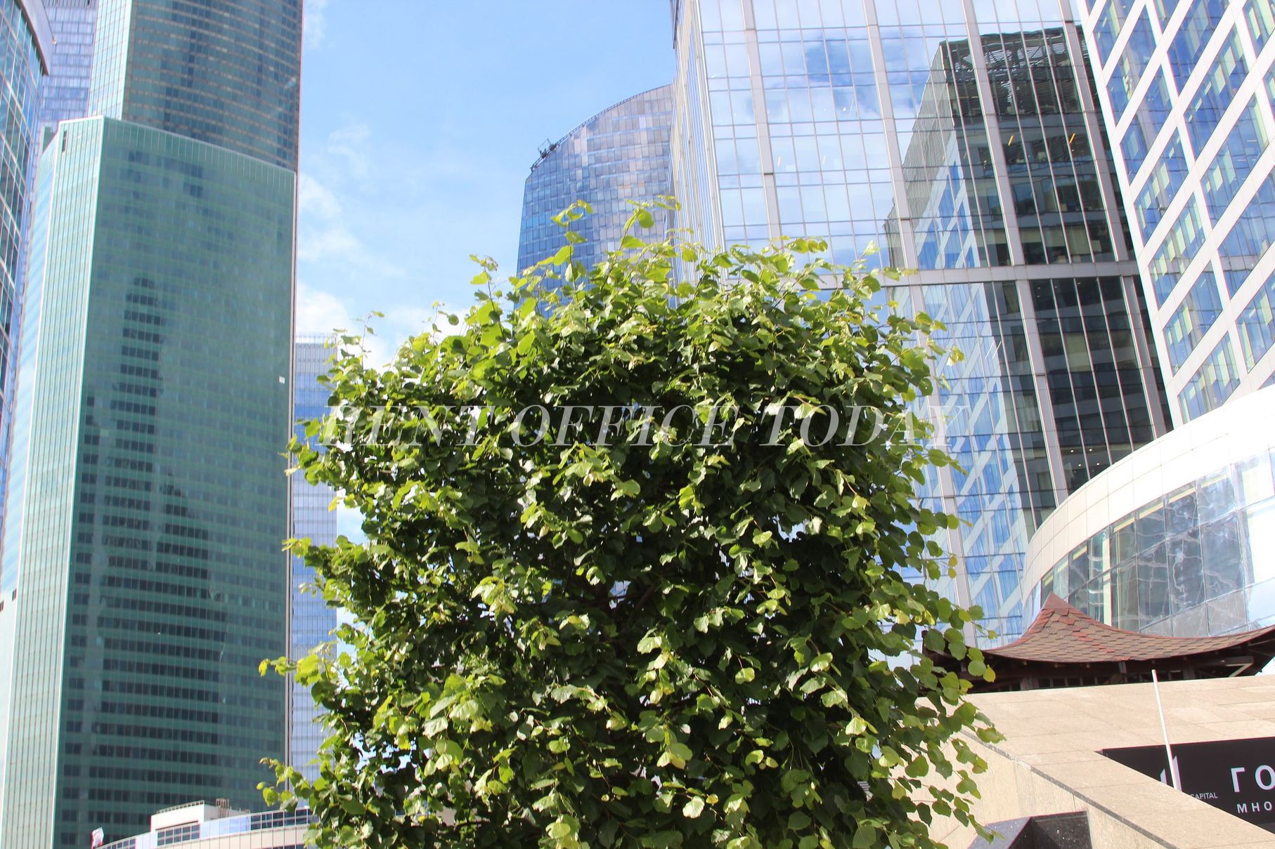 Rent office in Moscow City.jpg